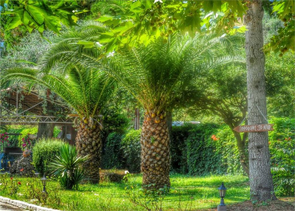 الشقق الفندقية خْريسيا أموذيافي  Aneton المظهر الخارجي الصورة